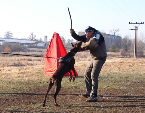 The christmas training 27.12.2006